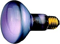 Plant light bulb - 2