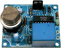 Gas sensor