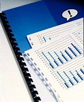Matching plastic binding spine - 3