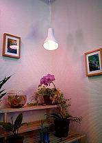 MEGAMAN(r) Växtreflektor, pendelset