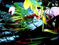 Plant light bulb
