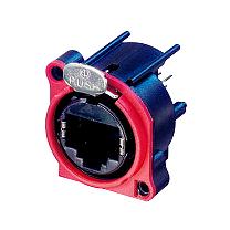 RJ 45 EtherCon plug