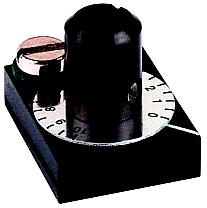 Small scales with fixing device