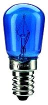 TV bulb
