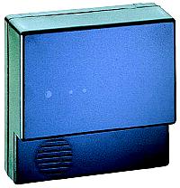 Wall-mounted case